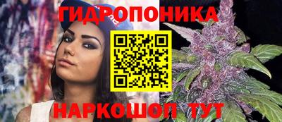 таблы Краснознаменск